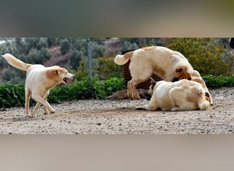 Bamali-wartet in 39291 Hohenwarthe