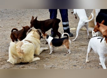 Bamali-wartet in 39291 Hohenwarthe