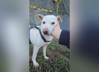 SNOW-WHITE - zart Seele hat ihr Herz geöffnet und ist bereit für ihre liebevolle Familie