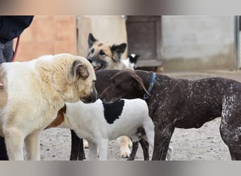 Bamali-wartet in 39291 Hohenwarthe