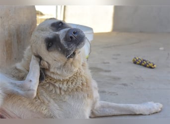 Bamali-wartet in 39291 Hohenwarthe