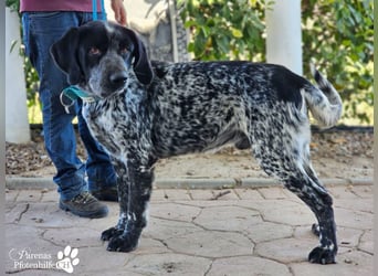 Leandro liebt  Menschen