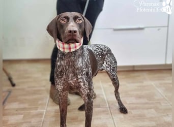 Yakin möchte unbedingt gefallen und hat einen unwiderstehlichen Charme