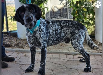 Leandro liebt  Menschen