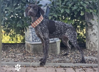 Yakin möchte unbedingt gefallen und hat einen unwiderstehlichen Charme