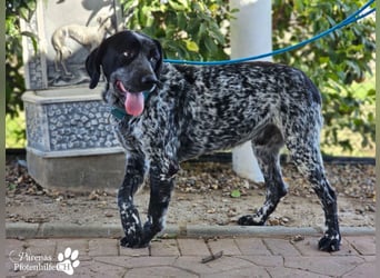 Leandro liebt  Menschen