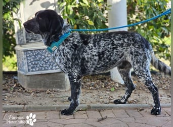 Leandro liebt  Menschen