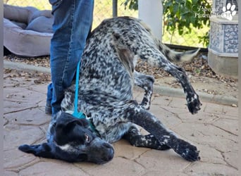 Leandro liebt  Menschen