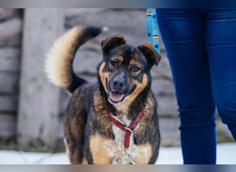 Amira möchte endlich ein liebevolles Zuhause