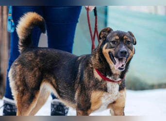 Amira möchte endlich ein liebevolles Zuhause