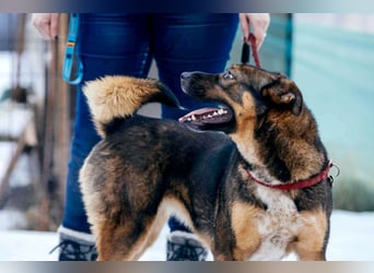 Amira möchte endlich ein liebevolles Zuhause