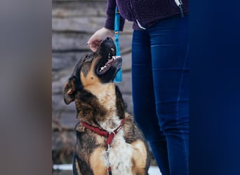 Amira möchte endlich ein liebevolles Zuhause