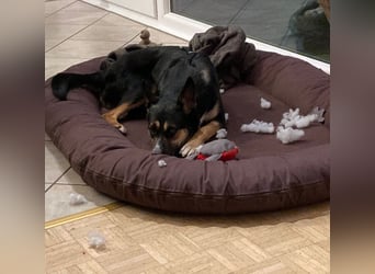 Alma- sucht sportliche Outdoorliebhaber