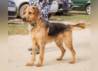 Roland, ein schlaues Bürschchen und sehr aktiv