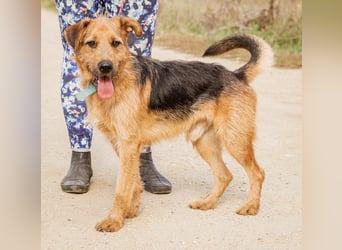 Roland, ein schlaues Bürschchen und sehr aktiv