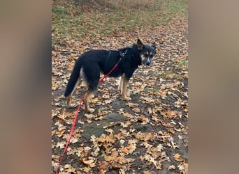 Alma- sucht sportliche Outdoorliebhaber