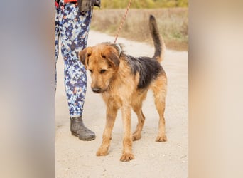 Roland, ein schlaues Bürschchen und sehr aktiv