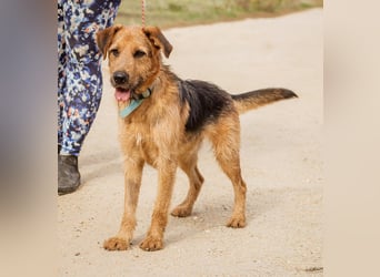 Roland, ein schlaues Bürschchen und sehr aktiv