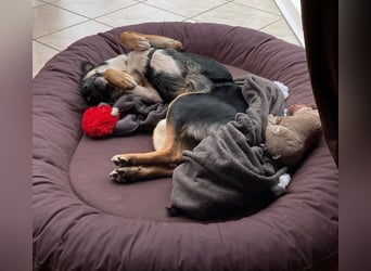 Alma- sucht sportliche Outdoorliebhaber