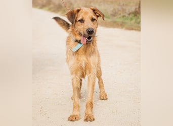 Roland, ein schlaues Bürschchen und sehr aktiv