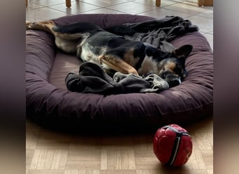 Alma- sucht sportliche Outdoorliebhaber