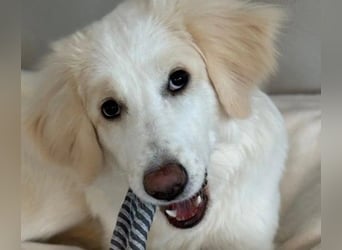 sensible Kiki sucht Körbchen zum Ankommen