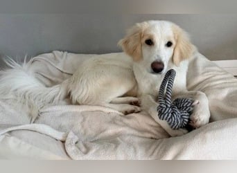 sensible Kiki sucht Körbchen zum Ankommen