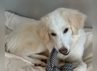 sensible Kiki sucht Körbchen zum Ankommen