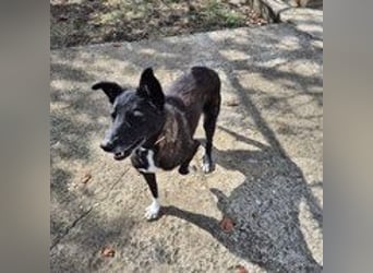 Frida - lebensfrohe Seniorin