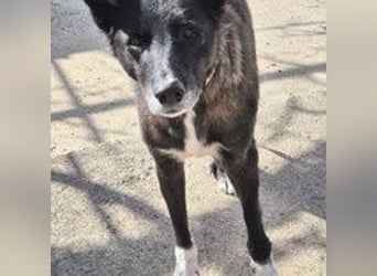 Frida - lebensfrohe Seniorin