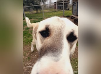 Süßer Fratz sucht Kuschelplatz