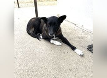 Frida - lebensfrohe Seniorin