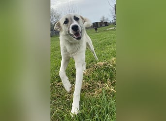 Süßer Fratz sucht Kuschelplatz