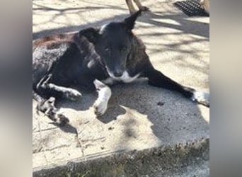 Frida - lebensfrohe Seniorin