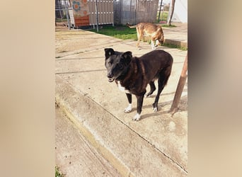 Frida - lebensfrohe Seniorin