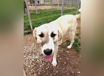 Süßer Fratz sucht Kuschelplatz
