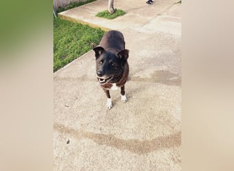 Frida - lebensfrohe Seniorin