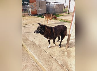 Frida - lebensfrohe Seniorin