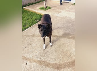 Frida - lebensfrohe Seniorin