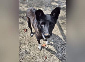 Frida - lebensfrohe Seniorin