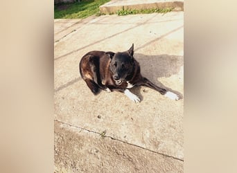 Frida - lebensfrohe Seniorin