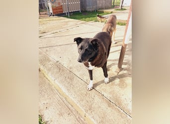 Frida - lebensfrohe Seniorin