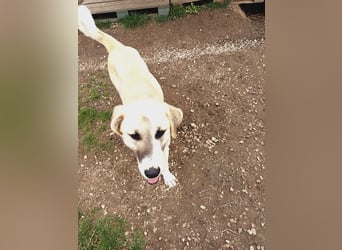 Süßer Fratz sucht Kuschelplatz