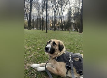 Große Odette sucht ihr eigenes Zuhause