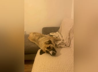 Große Odette sucht ihr eigenes Zuhause