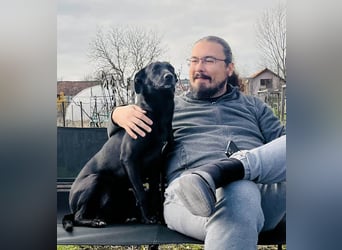 Wunderschöne Mai sucht ihre Familie