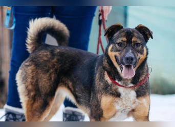 Amira möchte endlich ein liebevolles Zuhause