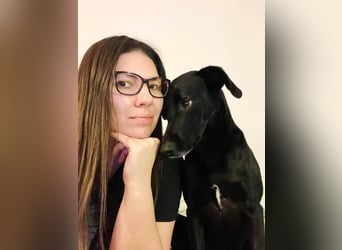 Wunderschöne Mai sucht ihre Familie