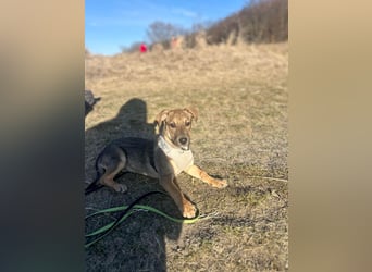 Goldige Burita will eine eigene Familie