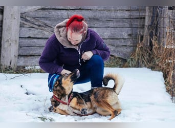 Amira möchte endlich ein liebevolles Zuhause